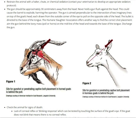 Bullet or Bolt placement for Goats